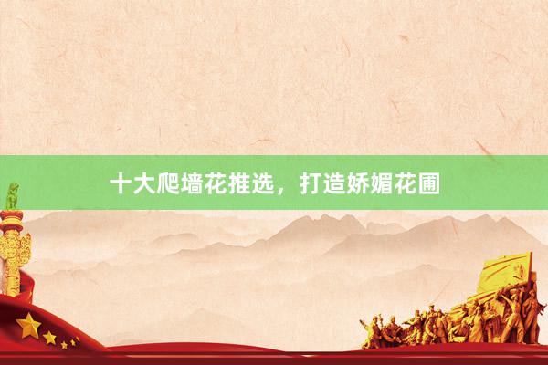 十大爬墙花推选，打造娇媚花圃
