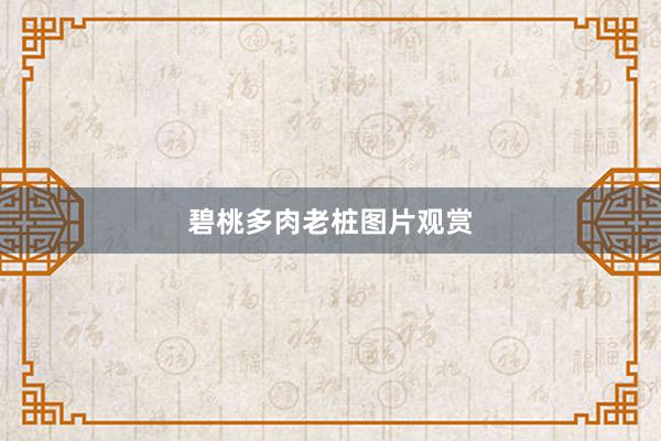 碧桃多肉老桩图片观赏