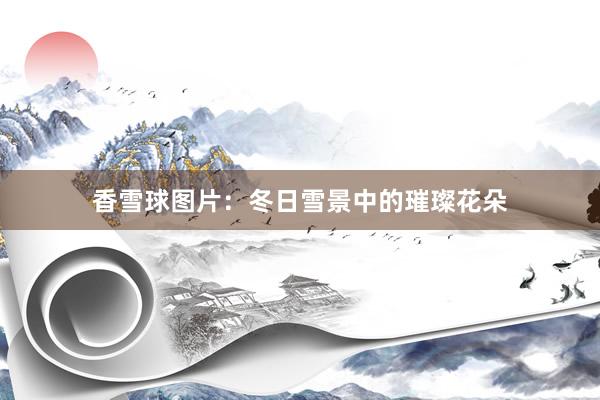 香雪球图片：冬日雪景中的璀璨花朵